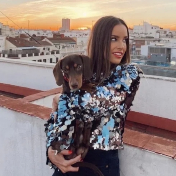 ZARA SEQUIN CROPPED TOP. Bloggers favorite - Picture 5 of 15